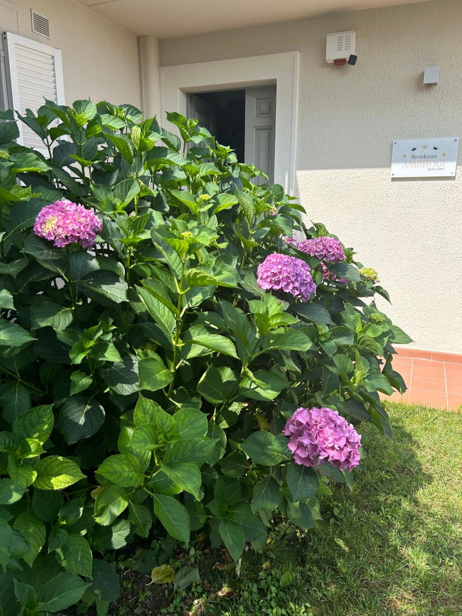 Residenza Ambrogi Acomodação com café da manhã Urbino Exterior foto